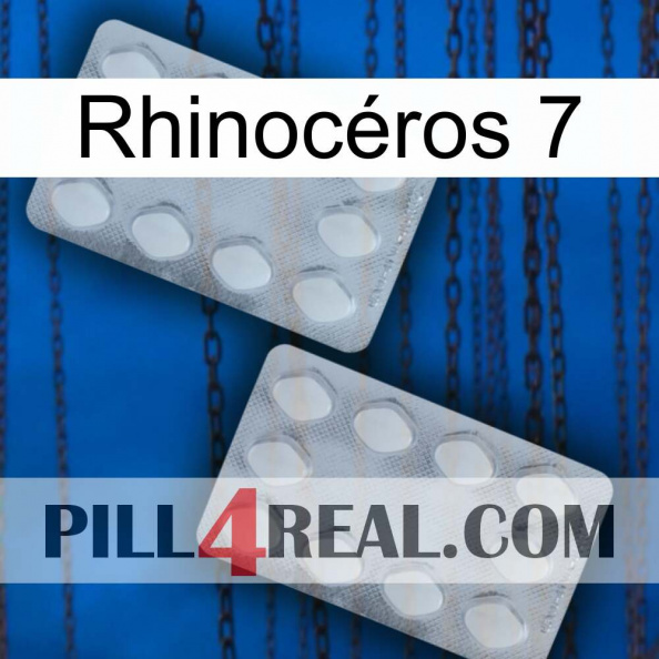 Rhinocéros 7 17